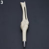 Creative Ball Point Pen Bone Shape Nurse Doctor Student Teacher Stationery Gift  6VB3